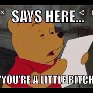 Meet your Posher, Noah